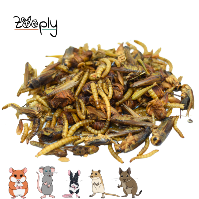 Zooply Insectenmix 450 gram - Gedroogde insecten voor hamsters, ratten en andere knaagdieren - Gezonde snack