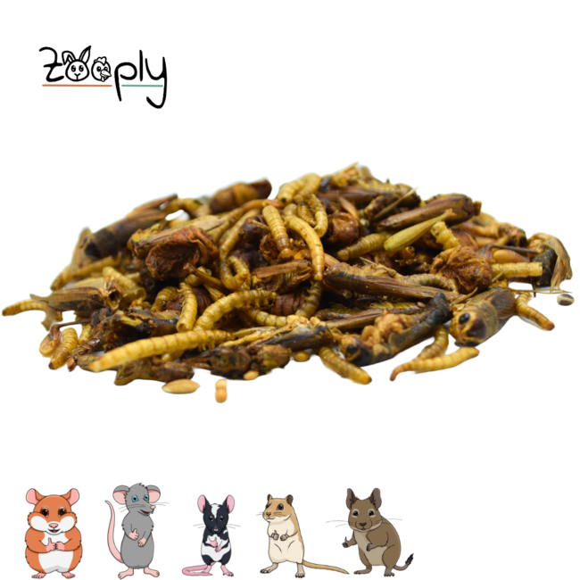 Zooply Insectenmix for Hamster, Rat, Gerbil, Mouse and Degu - Natural Snack - 100 grams