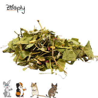 Zooply Fruit & Herbal Mix