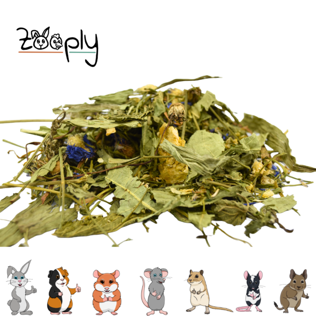 Zooply Meadow Field Mix - Various dried herbs for rabbits and rodents - Healthy snack