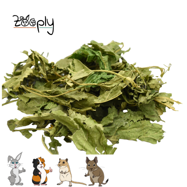 Zooply Moerbeiblad - Gedroogd(e) blad voor konijnen, cavia's en knaagdieren - 350 gram