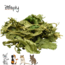 Mulberry leaf - Dried leaves for rabbits and rodents - Healthy snack