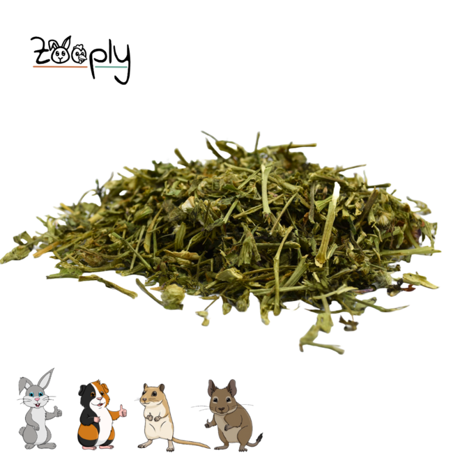 Red clover stems with leaves - Dried leaves for rabbits and rodents - Healthy snack