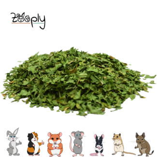 Zooply Spinazie - 350 gram