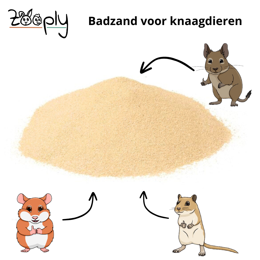 Badzand
