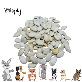 Zooply Pumpkin seeds