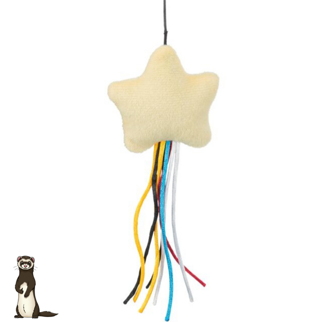 Toy Star on a String