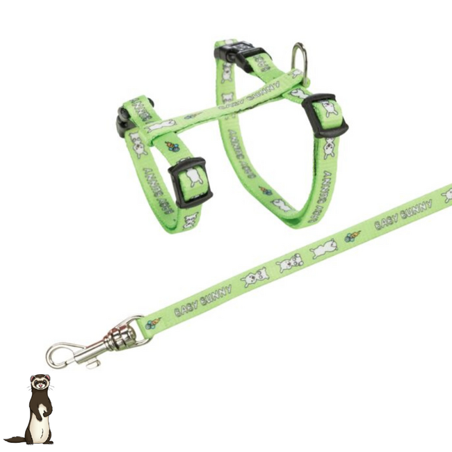 Leash - Harness for ferrets - 20–33 cm