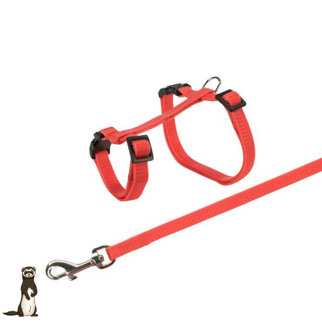 Tuig - Voor fretten - 25–44 cm