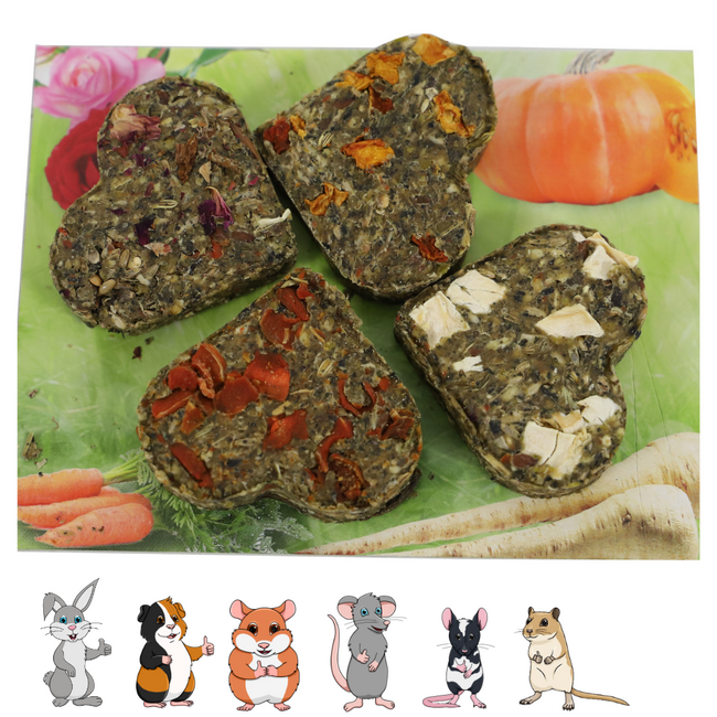 Graanvrij gelukskwartet - Leuke snack voor knaagdieren - 4 stuks