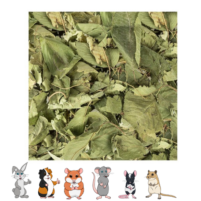 Tree Leaves - Leaves for Rodent Enclosures - 65 grams  The tree leaves are a great addition to your rodents' enclosure, such as guinea pigs, rabbits, and hamsters. This 65-gram product offers a natural and interesting way