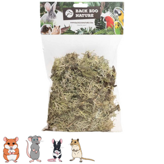 Back Zoo Nature Branch mos 50 gram