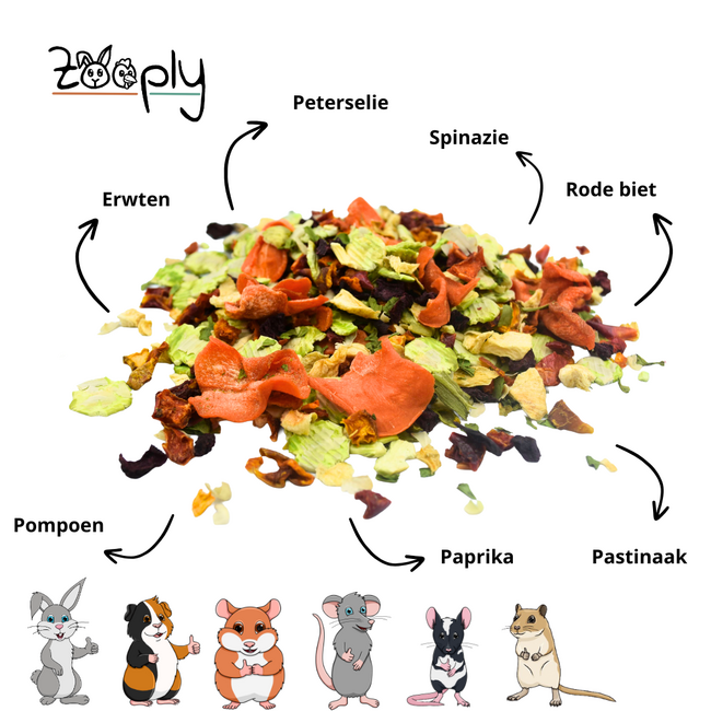 Zooply Hollandse Pot - Snackmix van erwt, spinazie, wortel, pastinaak, paprika en peterselie voor konijnen, cavia's en knaagdieren - Gezonde snack