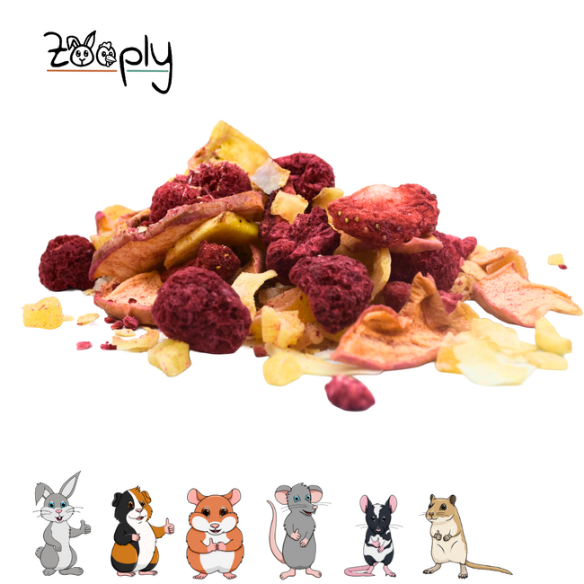 Zooply Fruitmix Snack for Rabbits, Guinea Pigs and Small Rodents - Natural Snack - 150 grams