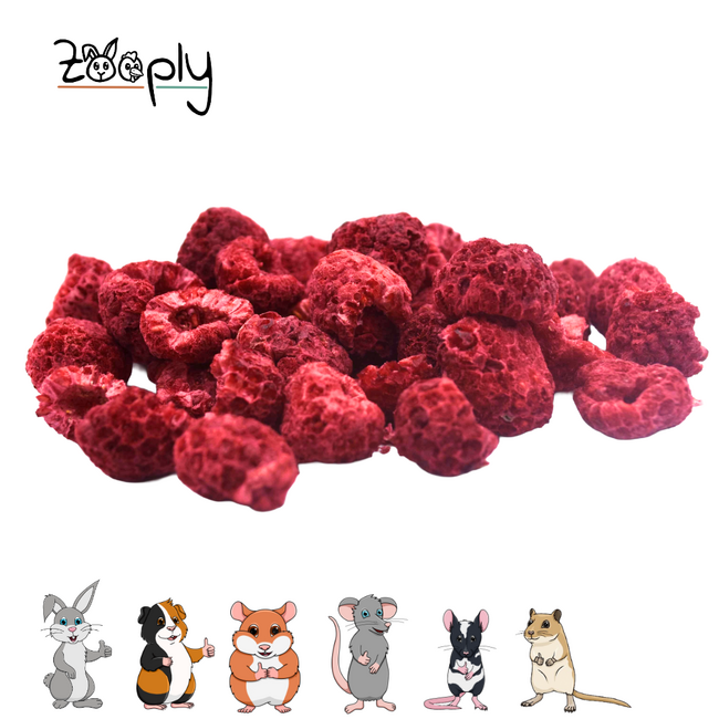 Zooply Framboos - Natural Snack for Rabbits, Guinea Pigs and Small Rodents - 60 grams
