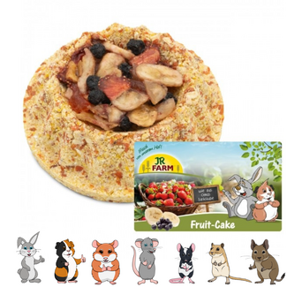 JR Farm Fruitcake – 140 gram