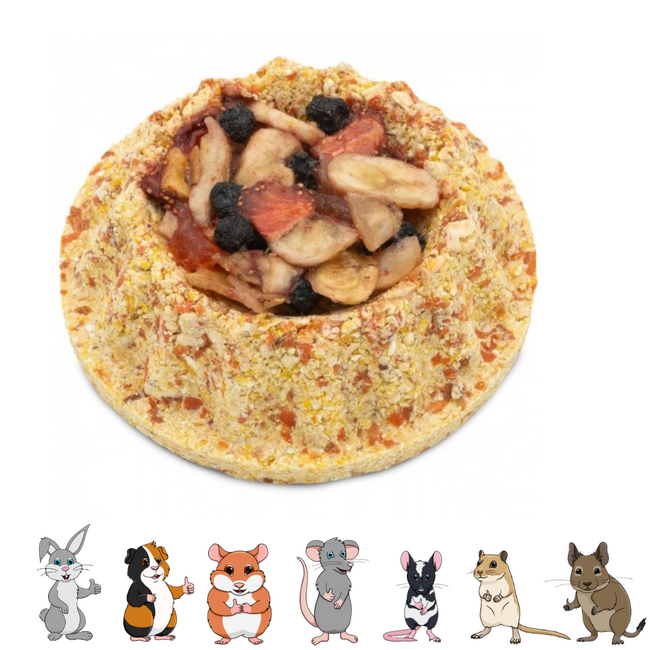 Fruitcake – Lekkere Snack voor Knaagdieren - 140 gram