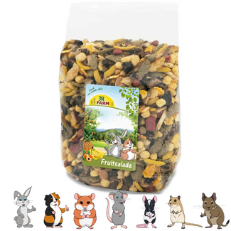 JR Farm Fruit salad – 600 grams