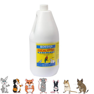 Koudijs Cleaning product with eucalyptus scent - 2 L