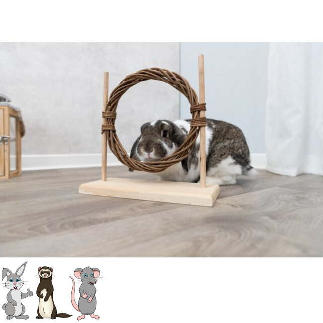 Agility Training Test - Fun Toy for Rabbits and Other Rodents - 28 × 26 × 11 cm