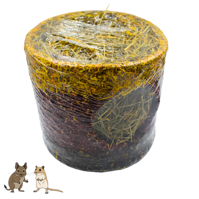 Wielink Knabbelhuisje met Hooi - Eetbaar schuilhuisje voor degoes en gerbils - 15 × 13 cm