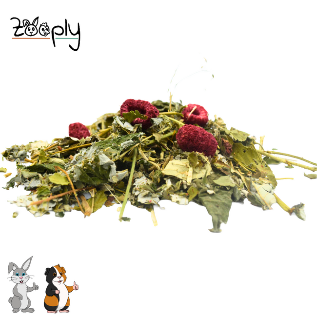 Zooply Raspberry Bush - Dried herbs for rabbits and rodents - 350 grams