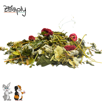 Zooply Frambozenstruik - 400 gram