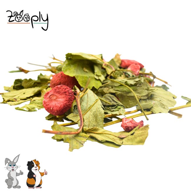 Zooply Aardbeienplant - Gedroogde kruiden voor konijnen en knaagdieren - 350 gram