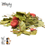Zooply Aardbeienplant - 250 gram
