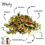Zooply Zomerdroom - Dried Herbs for Rabbits and Guinea Pigs - 500 grams