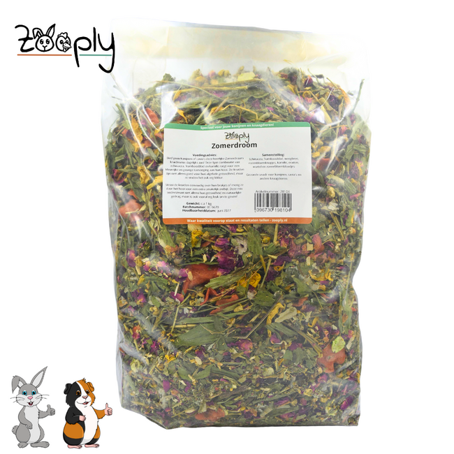 Copy of Aardbeienplant - 350 gram