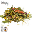 Zooply Zomerdroom - 500 gram