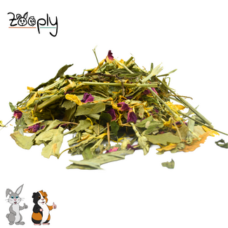 Zooply Bloemendroom - 600 gram