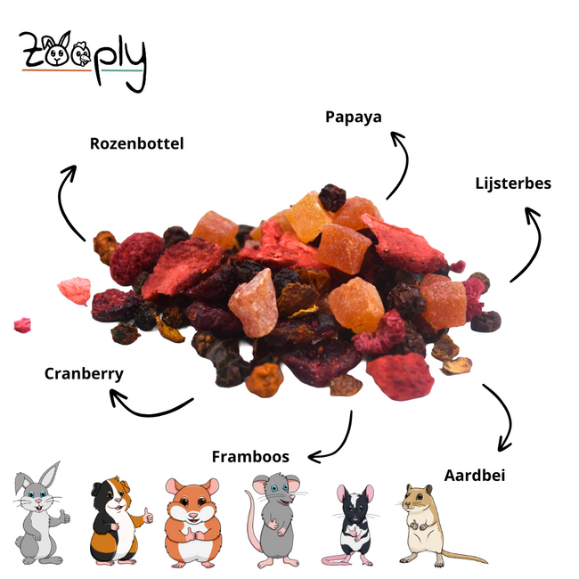 Rode fruitmix - Gedroogd fruit voor konijnen en knaagdieren - Gezonde snack - 400 gram