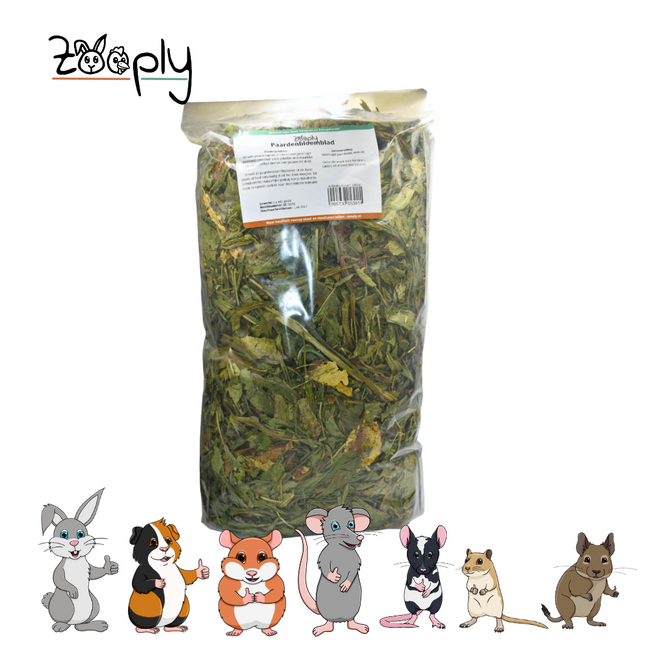 Zooply Dandelion Leaf - Dried leaves for rabbits and rodents - Healthy snack