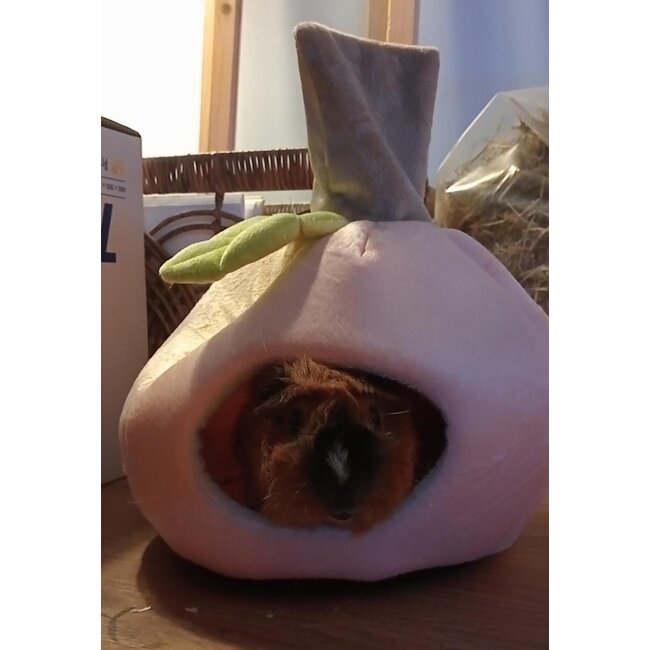 Sleep house in the shape of an apple - Soft house for guinea pigs and rats - 23 x 23 x 21 cm
