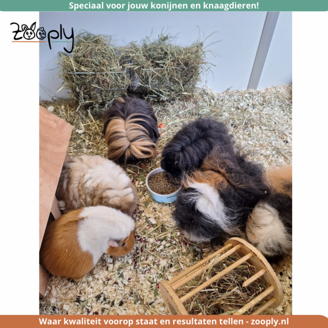 Zooply Bloemendroom - Gedroogde kruiden voor konijnen en cavia’s - 600 gram