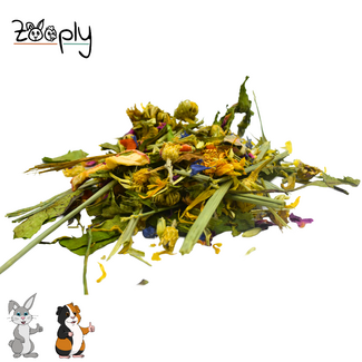 Zooply Lentedroom - 750 gram