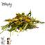 Zooply Lentedroom - Mix van kruiden voor konijnen, cavia's en knaagdieren - 450 gram