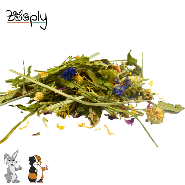 Zooply Lentedroom - Mix van kruiden voor konijnen, cavia's en knaagdieren - 450 gram