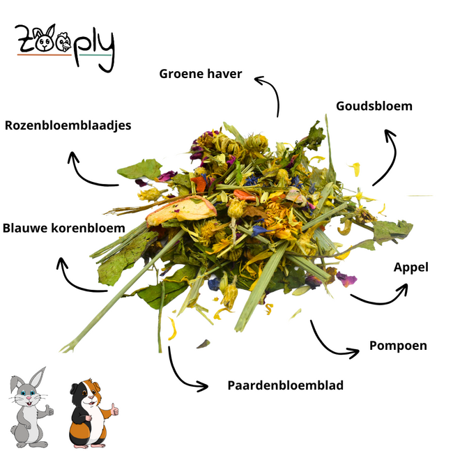 Zooply Lentedroom - Gedroogde kruiden voor konijnen en cavia’s - 1 kg