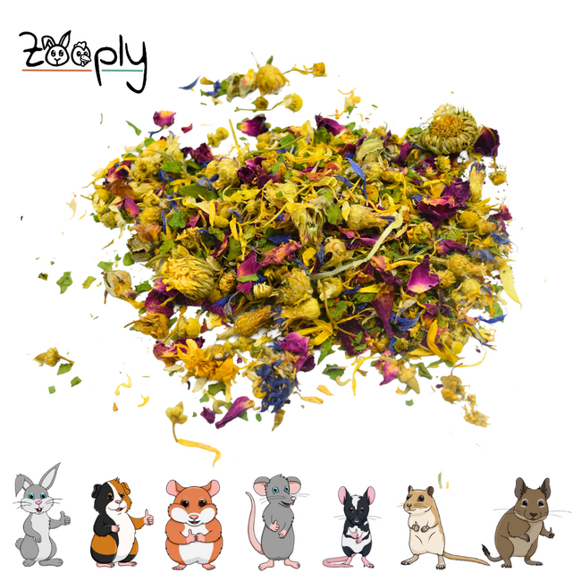 Zooply Weidebloemmix - Mix van gedroogde bloemen en kruiden voor konijnen, cavia's en knaagdieren - 400 gram