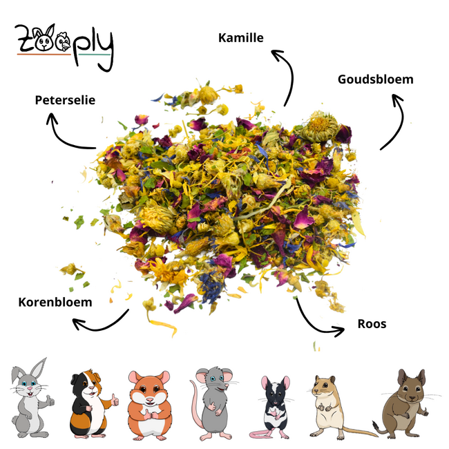 Zooply Weidebloemmix - Verschillende gedroogde bloemen voor konijnen en knaagdieren - Gezonde snack