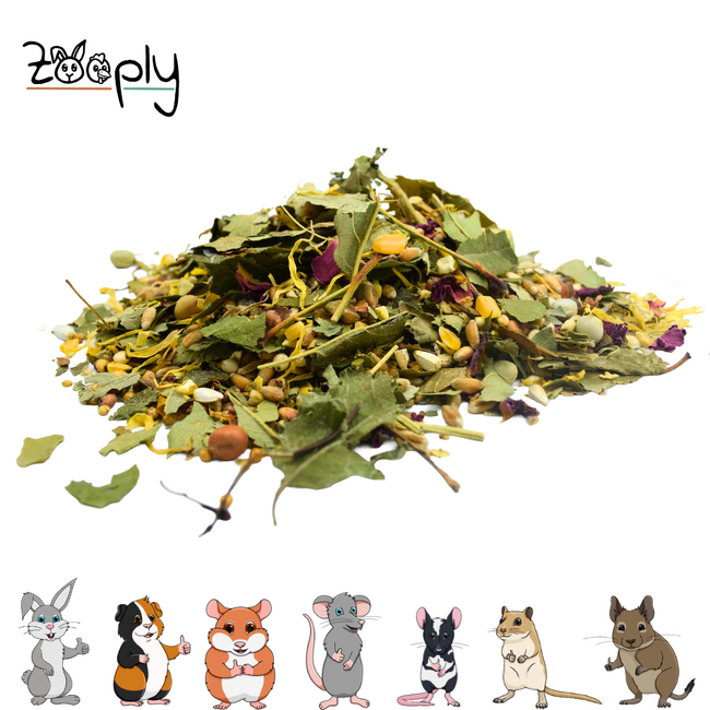 Strooikruiden met erwten voor knaagdieren – Foerageermix met diverse kruiden en zaden – Zooply – 400 gram