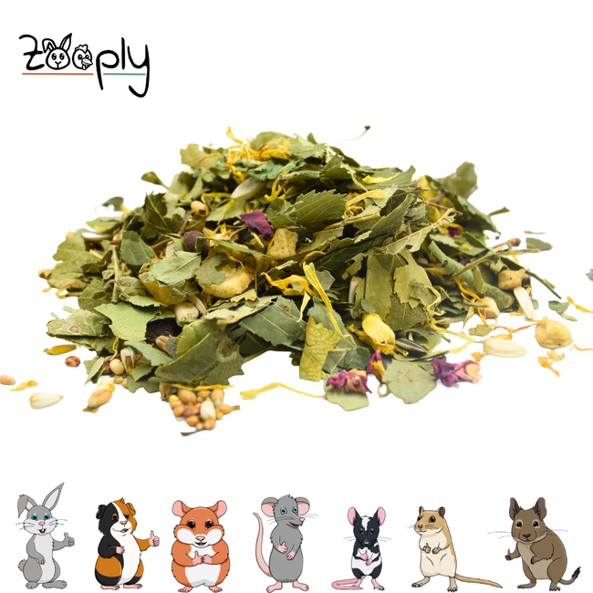 Strooikruiden met fruit voor knaagdieren – Foerageermix met diverse kruiden en zaden – Zooply – 400 gram