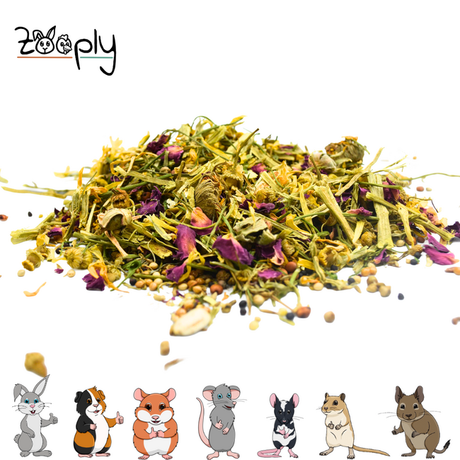 Scatter flowers with alfalfa and seeds for rodents – Foraging mix with flowers and seeds – Specially for rodents - 350 grams