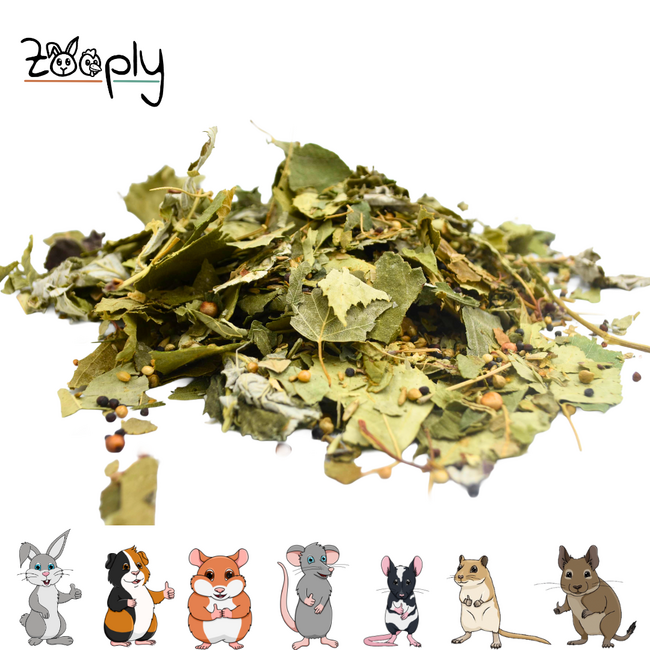 Forest mix with assorted leaves and various seeds for rodents – Foraging mix with leaves and seeds – Specially for rodents - 400 grams