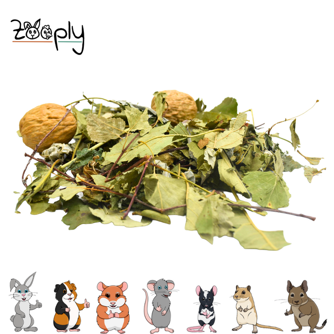 Zooply Forest Mix with Walnuts - 100 grams