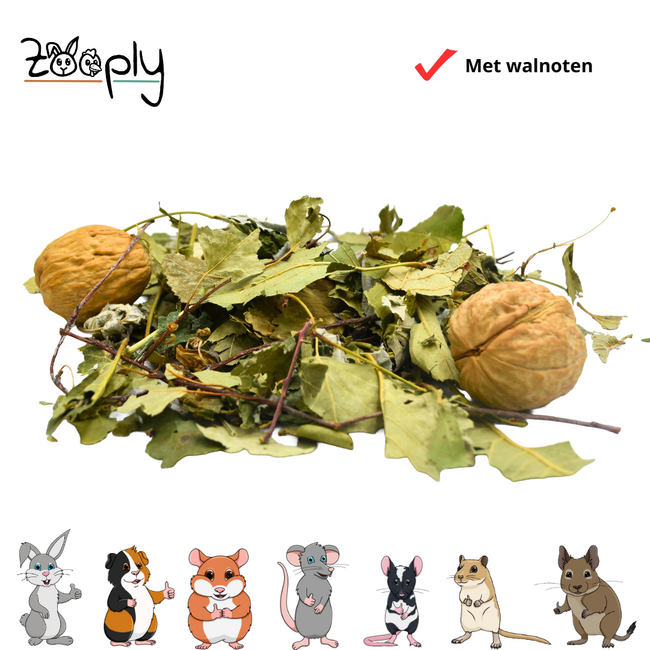 Zooply Forest Mix with Walnuts - 100 grams