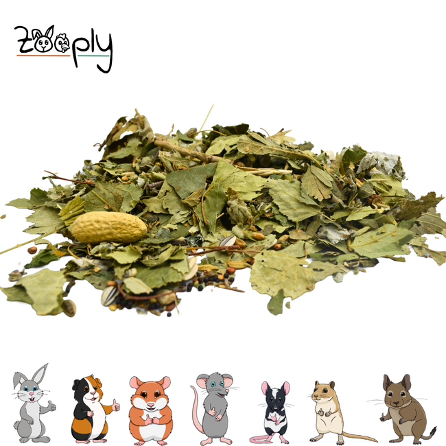 Bosmix met verschillende bladeren en noten voor knaagdieren – Fourageermix met bladeren en zaden – Speciaal voor knaagdieren - 400 gram